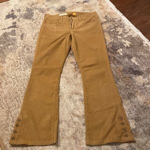 Pilcro and the Letterpress Flare Corduroy pants from Anthropologie